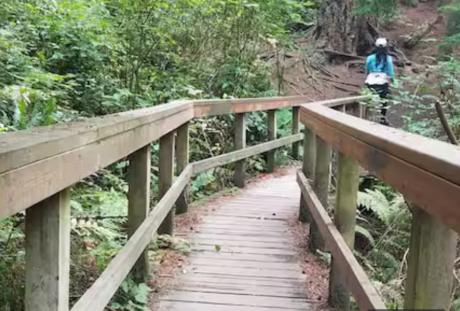 Hiking the forest in Schmitz park up the street.