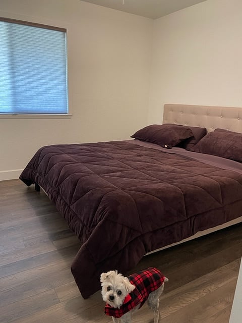 Furnished Finder property 899754_1 photo 9