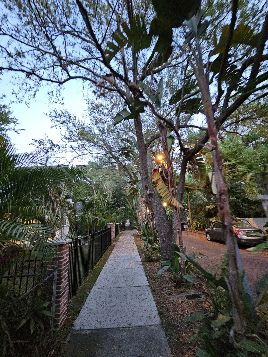 Furnished Finder property 899817_1 photo 14