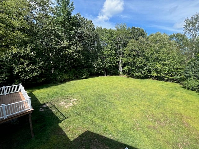 back yard