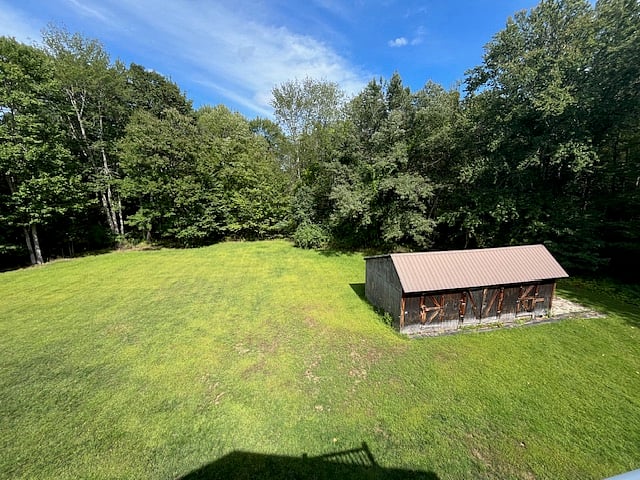 back yard