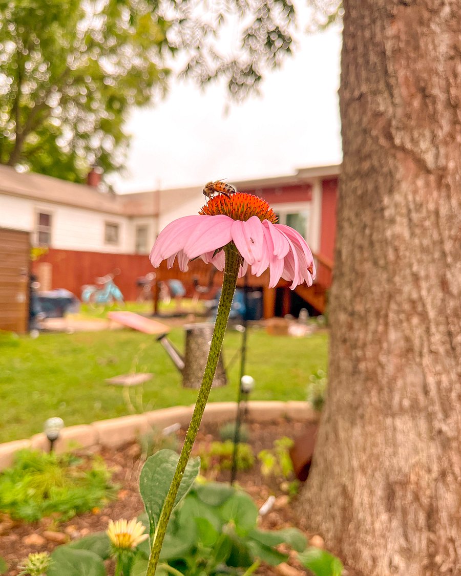 Check out the flower beds to see what's in bloom! 
