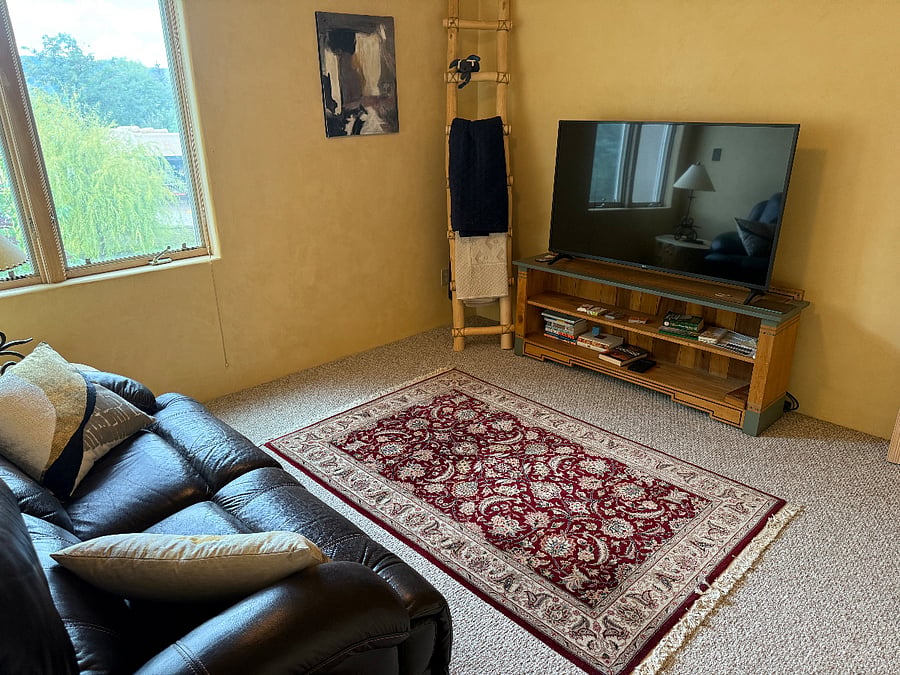 Another view of the entertainment room (what might be considered the third bedroom).