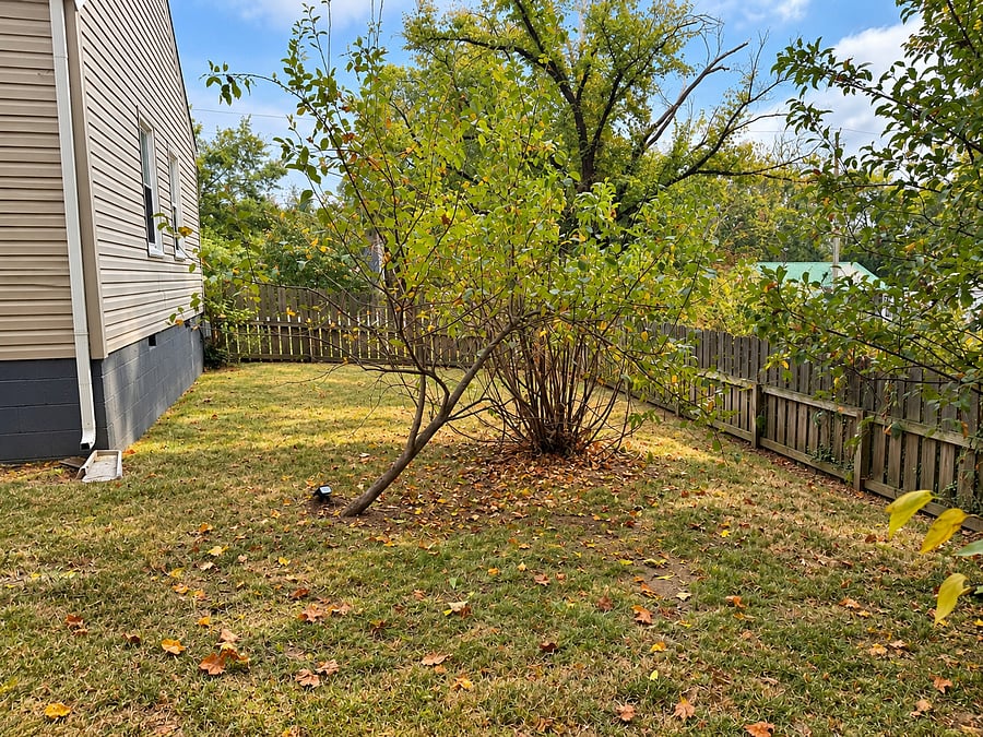 Furnished Finder property 899993_1 photo 16