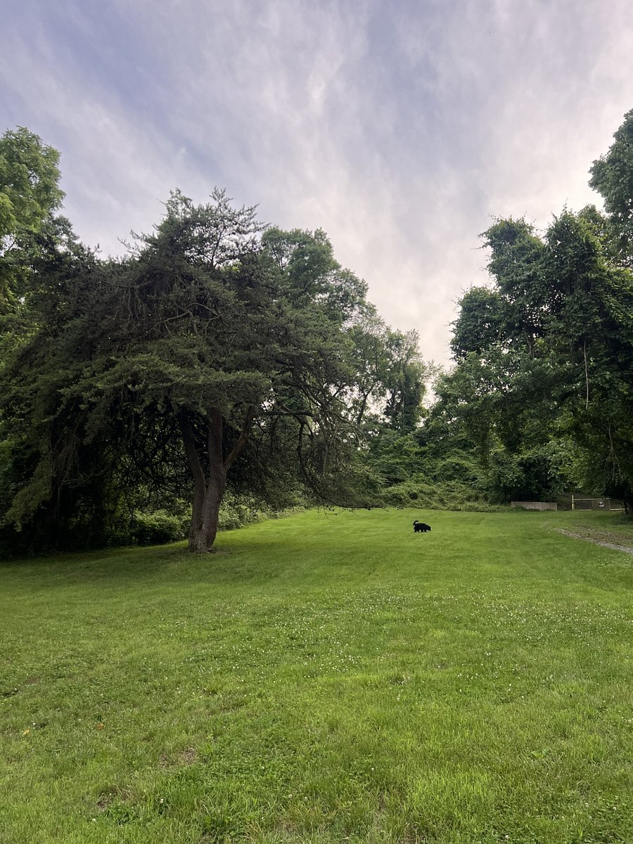Park area 25 yards away