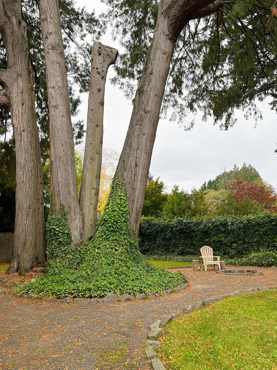 Enjoy a huge park-like fully fenced back yard! Shared with only 2 other units of this micro-community.