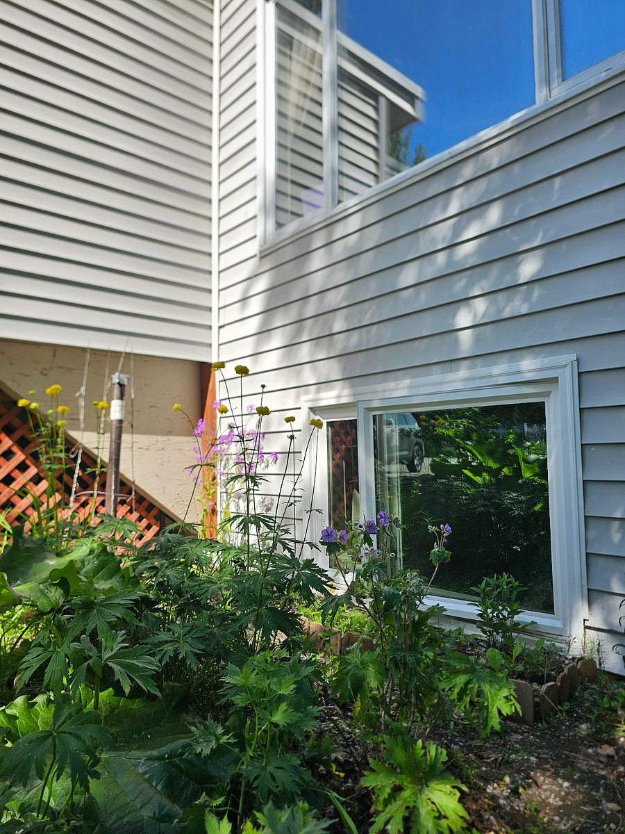 Furnished Finder property 900083_1 photo 9