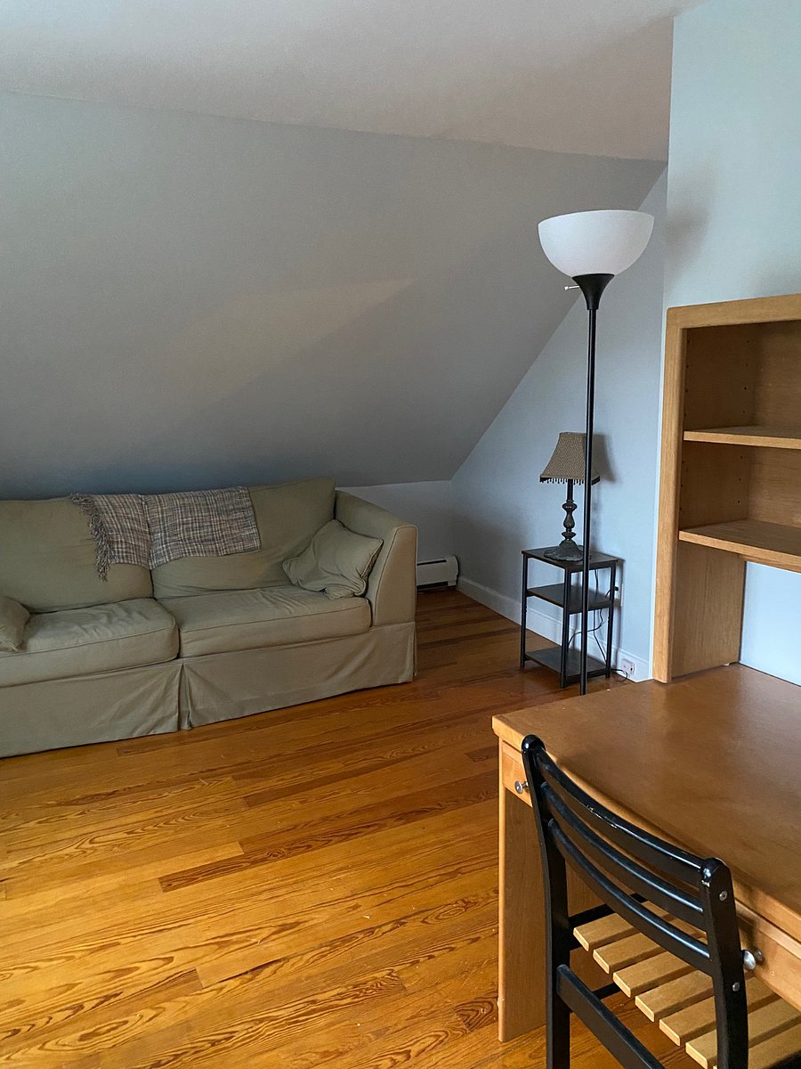 Second Bedroom/office with pull-out queen bed