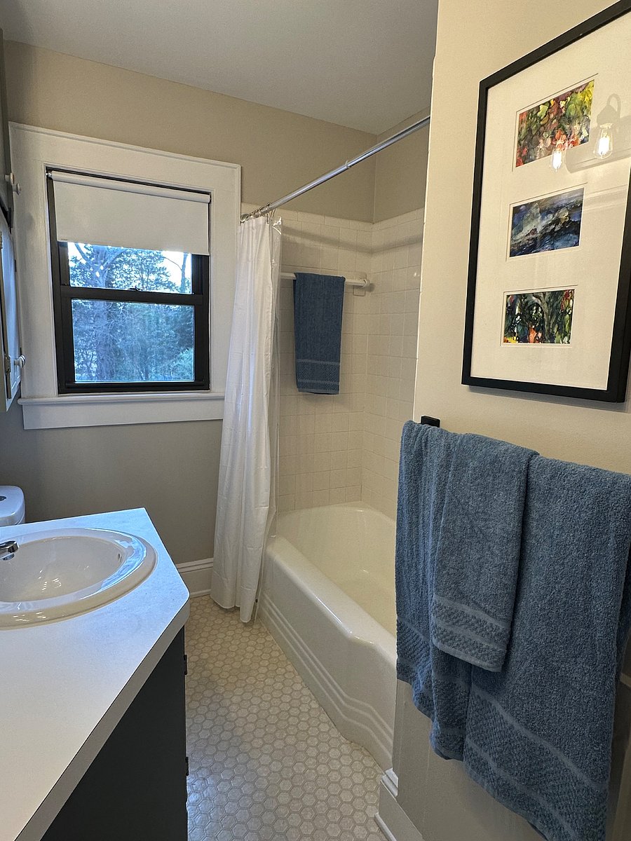 Full hall bathroom 