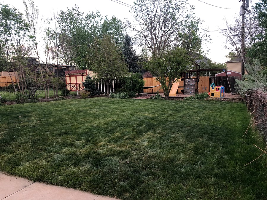 Professionally landscaped and maintained backyard with fences on 3 sides. Childrens playset.