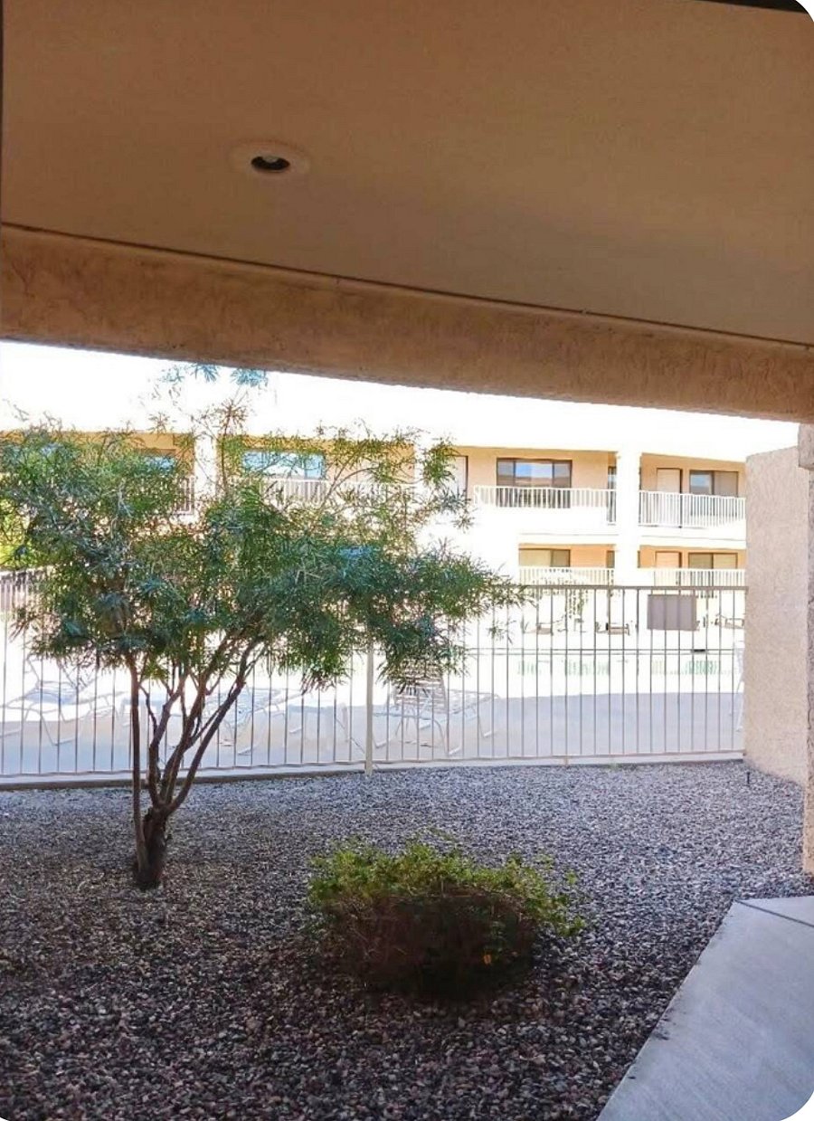 Furnished Finder property 900246_1 photo 13