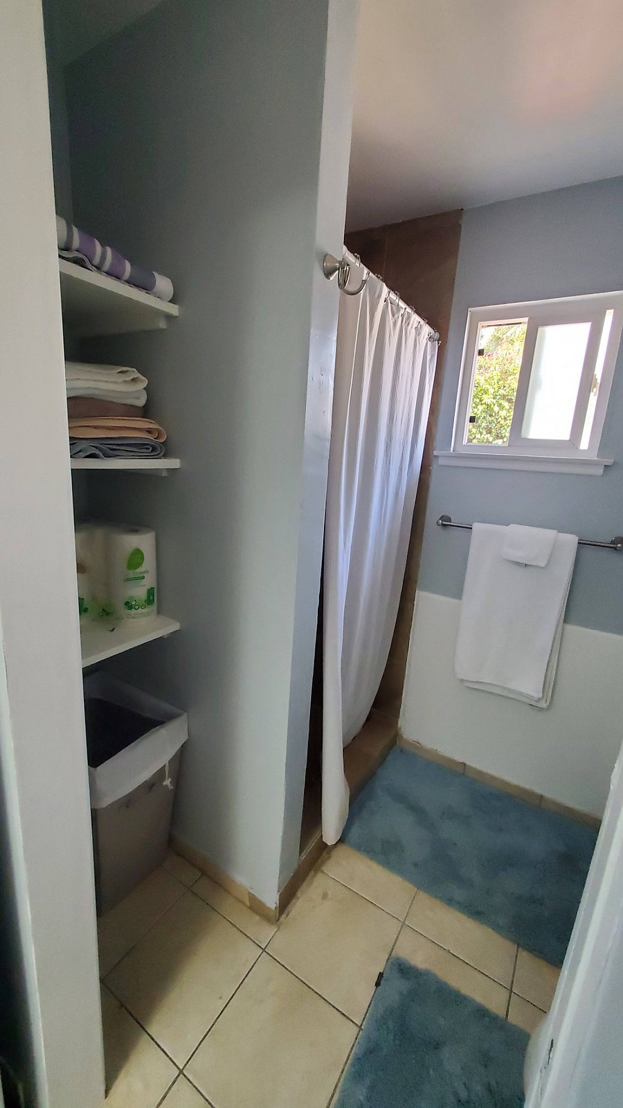 Shower and bathroom storage
