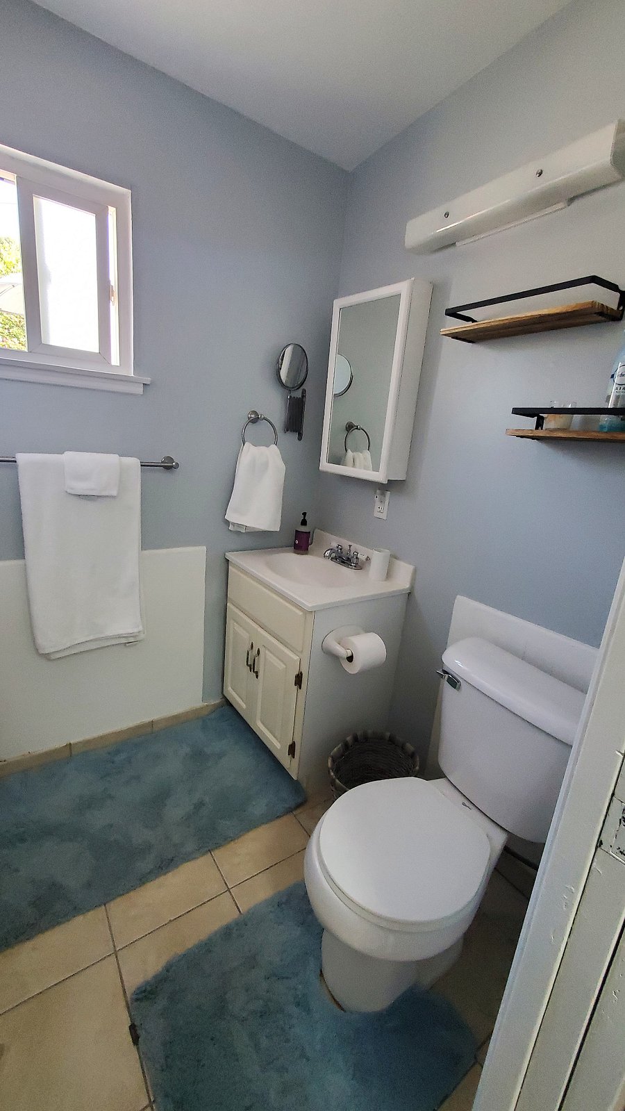 Toilet and vanity/sink