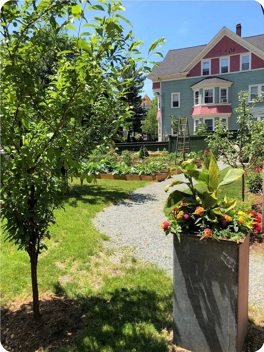 Full time tenants and family of the owner all maintain this community garden.  