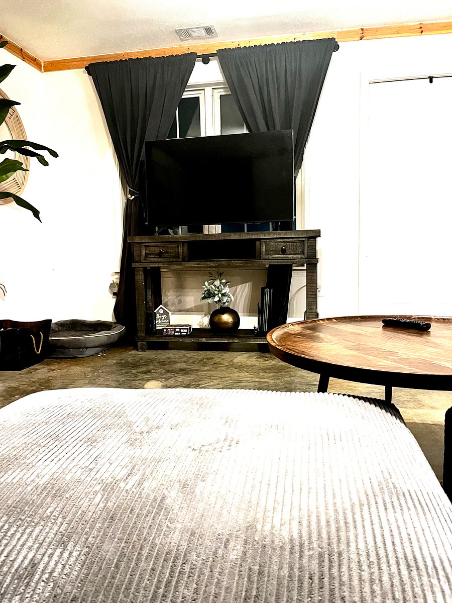 dog bed in living area