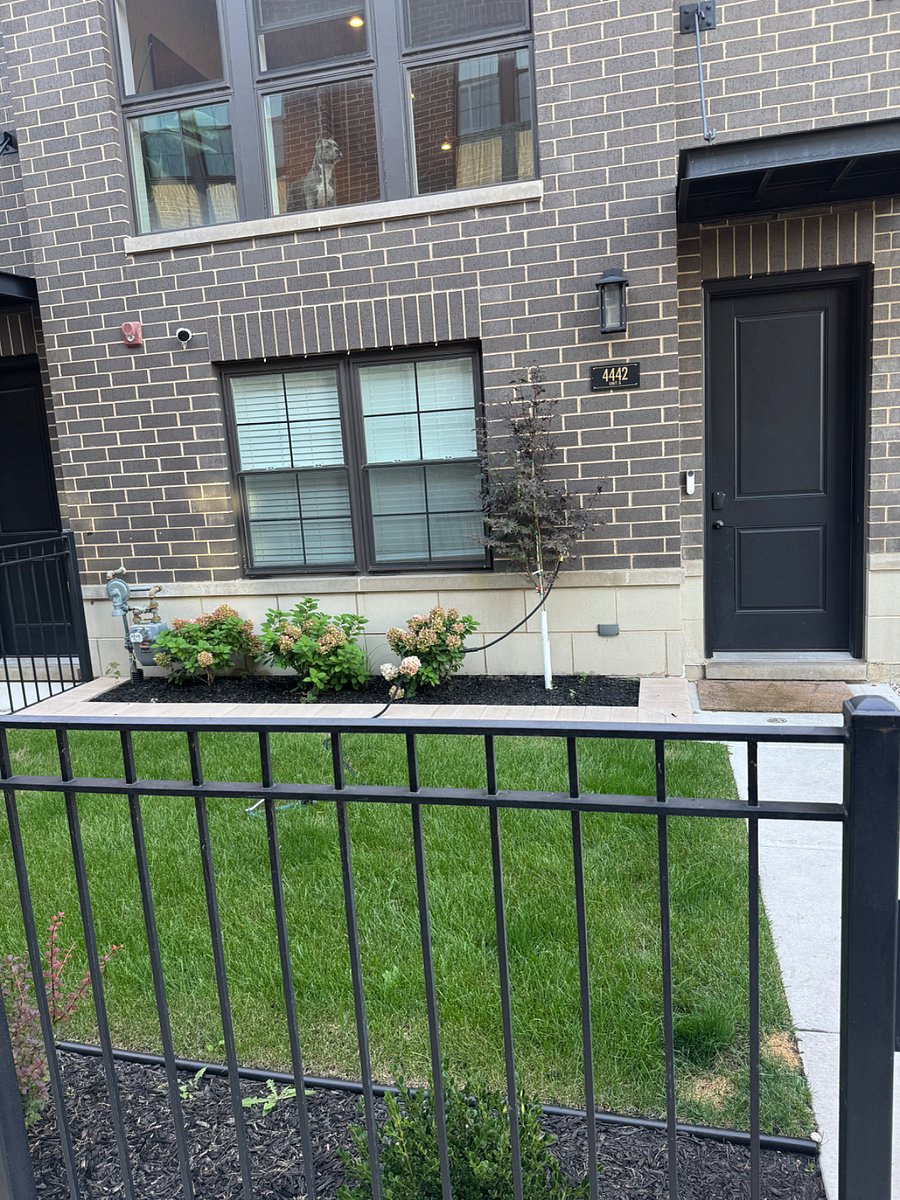 Front Yard
