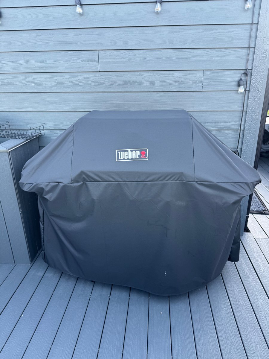 Grill on roof- gas line runs to roof no propane