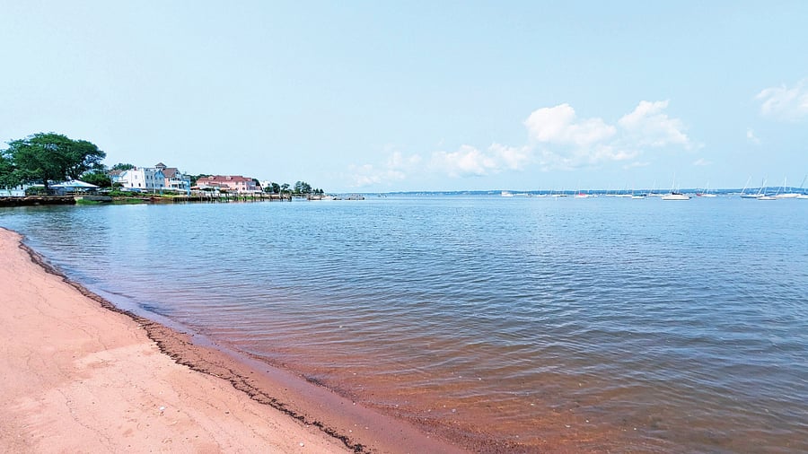 Furnished Finder property 900807_1 photo 22
