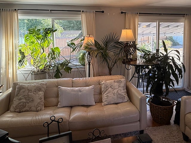 Furnished Finder property 900879_1 photo 5