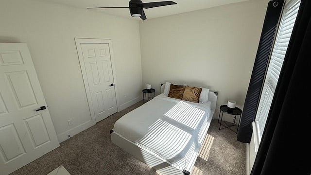 Furnished Finder property 900893_1 photo 8