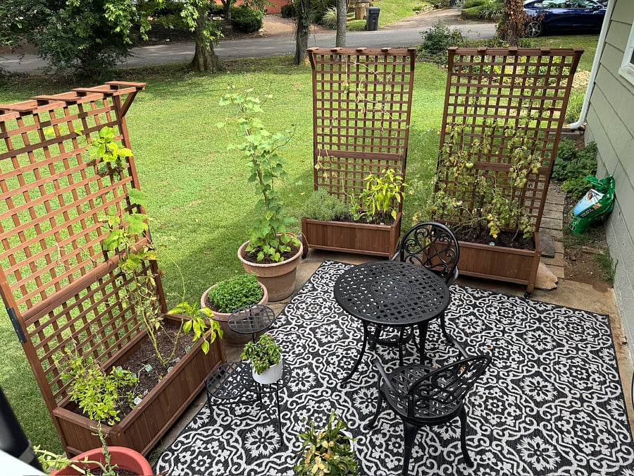 Garden patio with seating