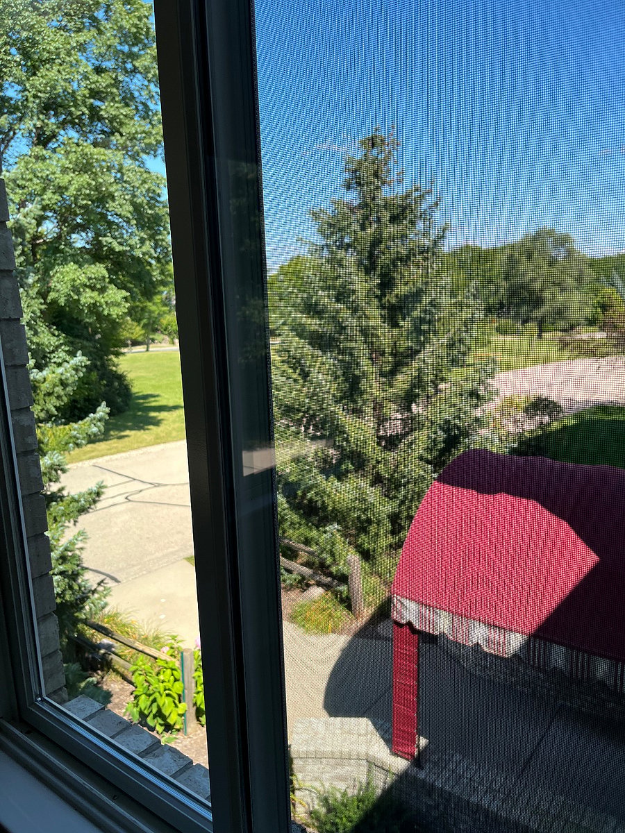 view from sunroom.