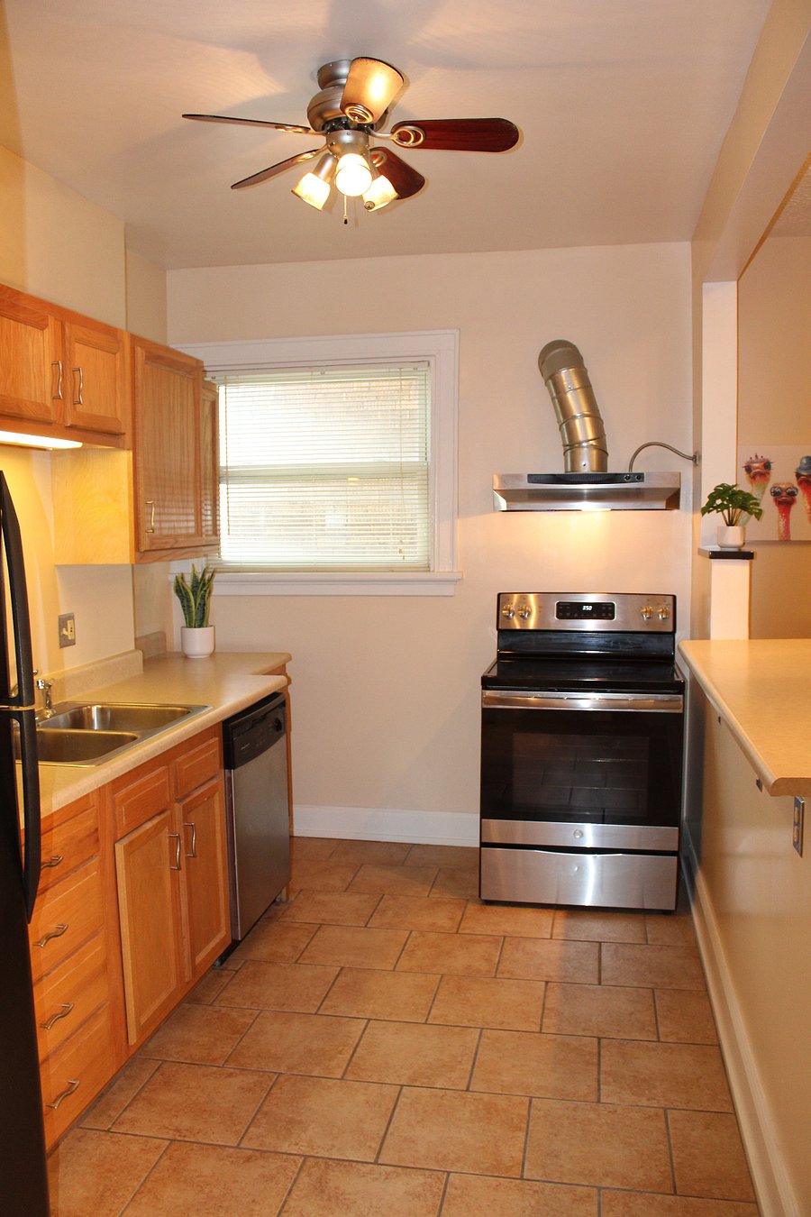 Furnished Finder property 901070_1 photo 7