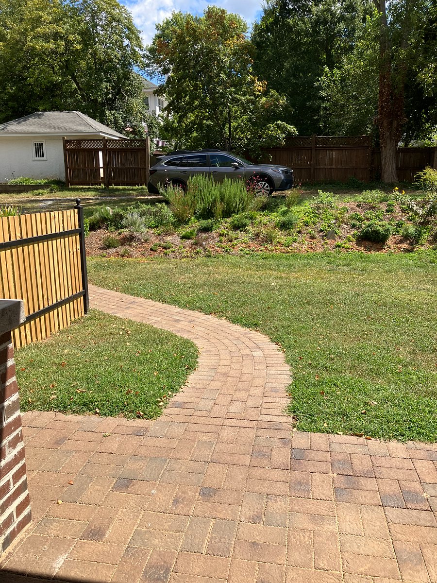 Looking out the kitchen door
Path leads to off street parking