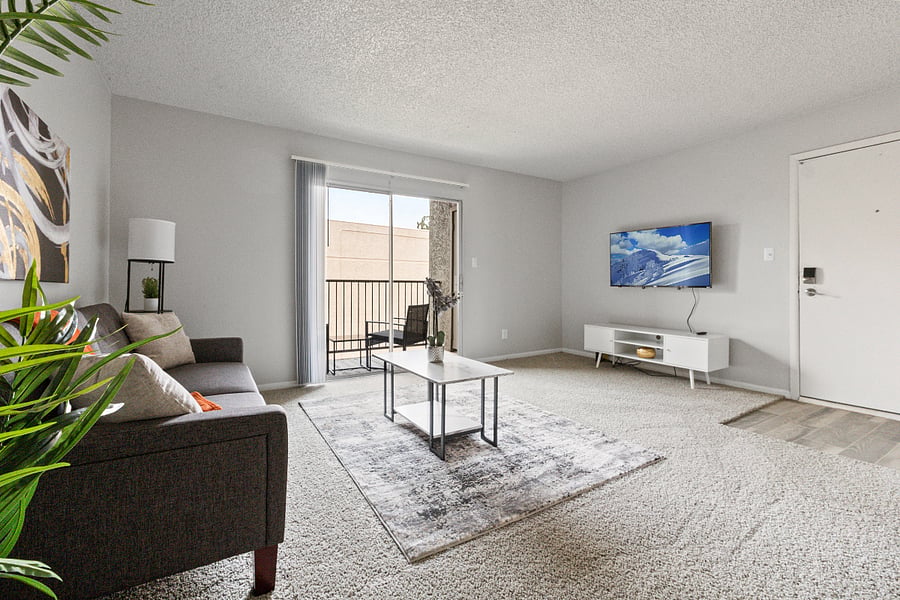 Open living space with a sofa bed and smart TV for movie nights.