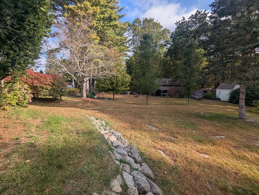 Backyard of main house