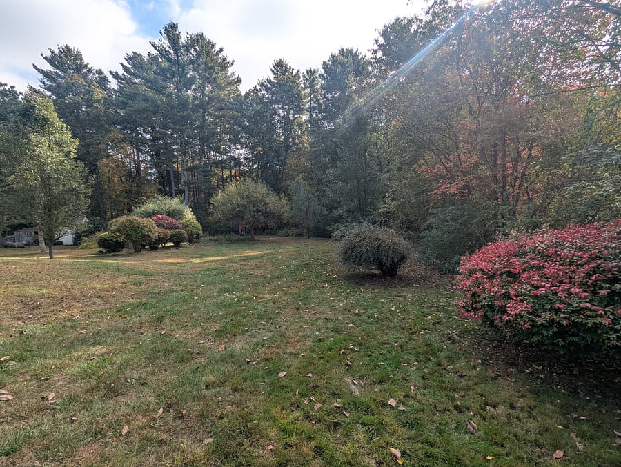 Backyard behind apartment