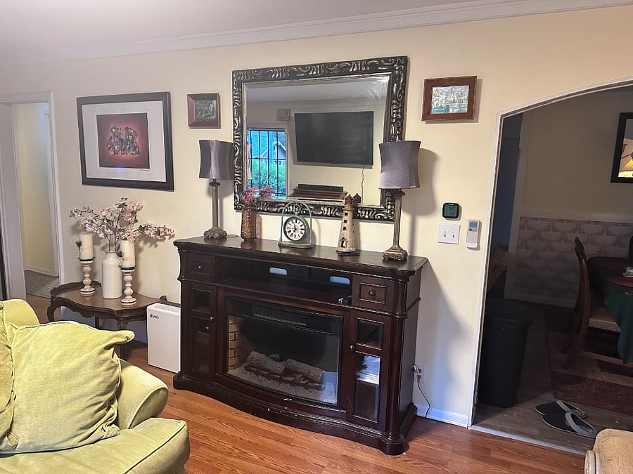 Electric Fireplace, air purifier and lots of lighting options.