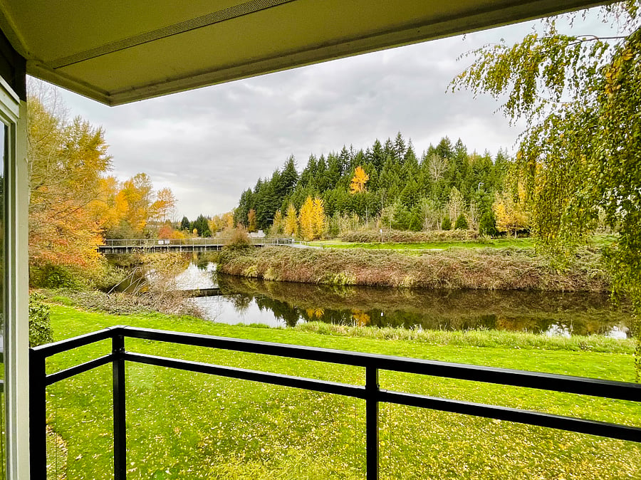 Furnished Finder property 901522_1 photo 6