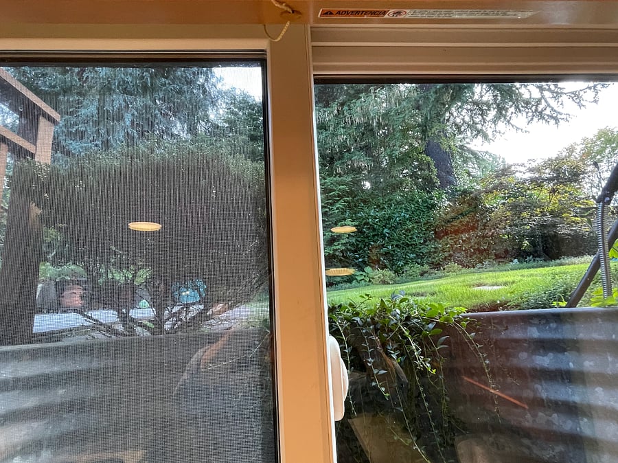 Kitchen window with view to back yard, Japanese maples, and a majestic Deodar Cedar tree.