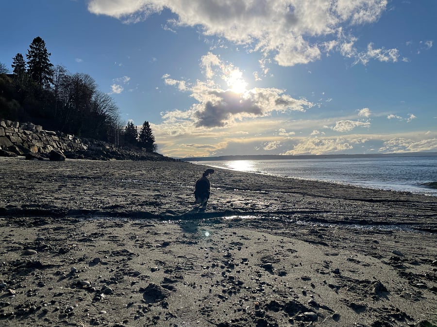 North Beach