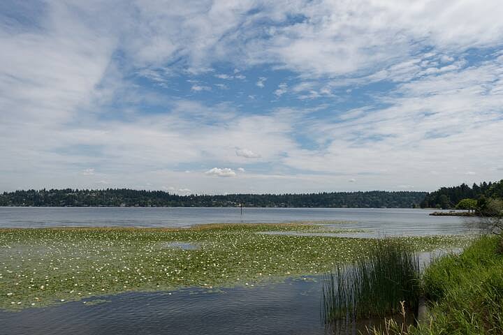 The lake is one block away. I even have a kayak you can use. 
