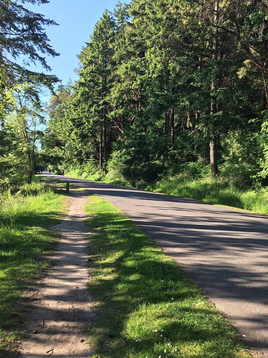 Miles of hiking trails in the old growth forest of Seward Park as well as a flat loop around the perimeter. Views of Mount Rainier and Mount Baker plus an Audobon Society building with a library.