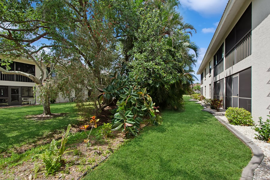 Backyard view