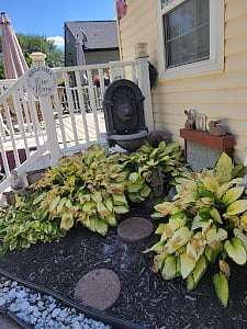 Furnished Finder property 901844_1 photo 14