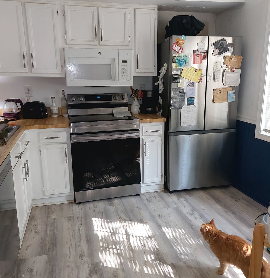 Kitchen for your use with occasional cat cameo!