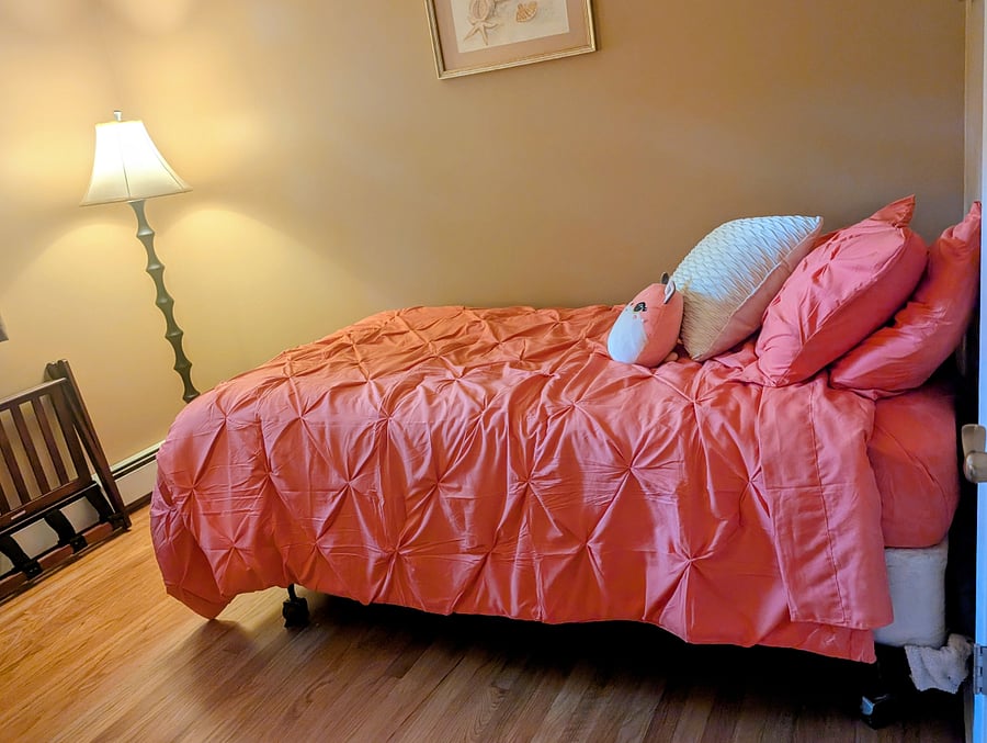 bedroom /office with twin bed