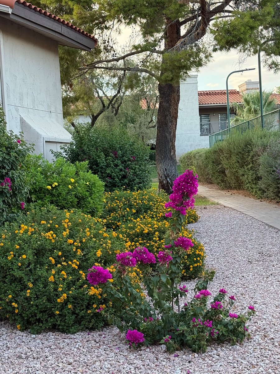 Flowering plants align the walkways, greenways and paths throughout the property.
