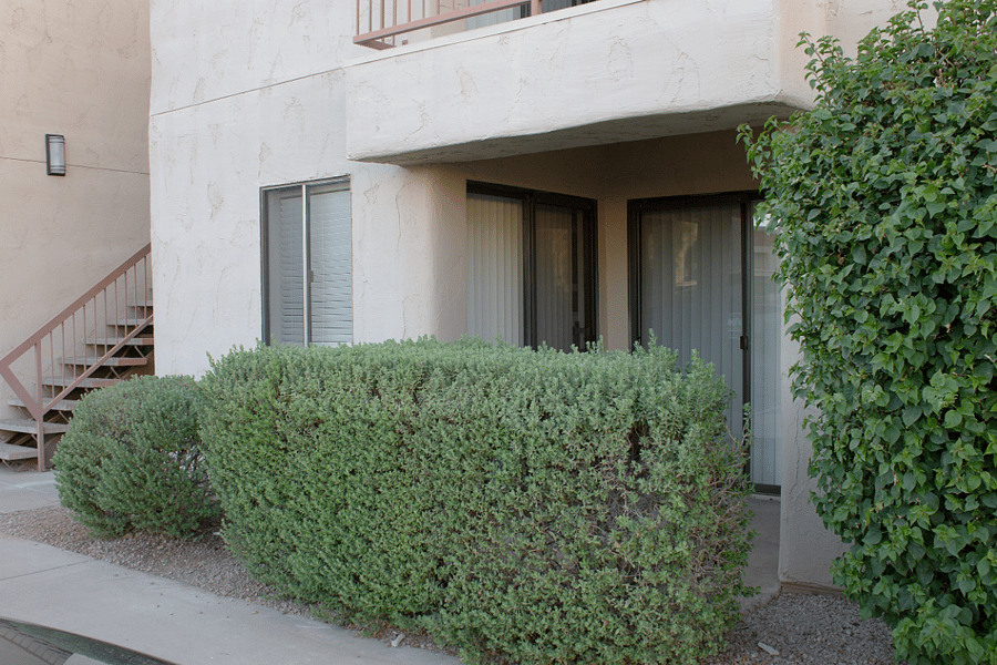 Front patio is secluded behind well maintained hedges, providing a cove for outdoor breakfasts.