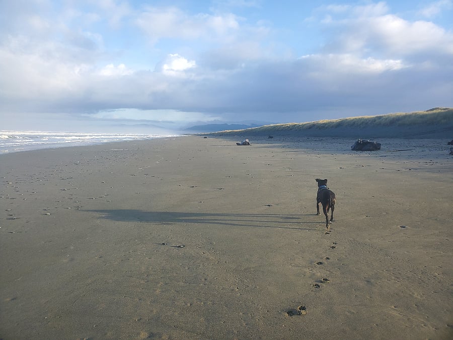 Kellogg Beach is a 10-minute drive away