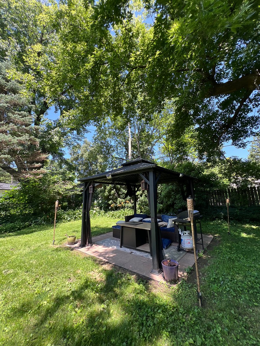 Backyard Patio