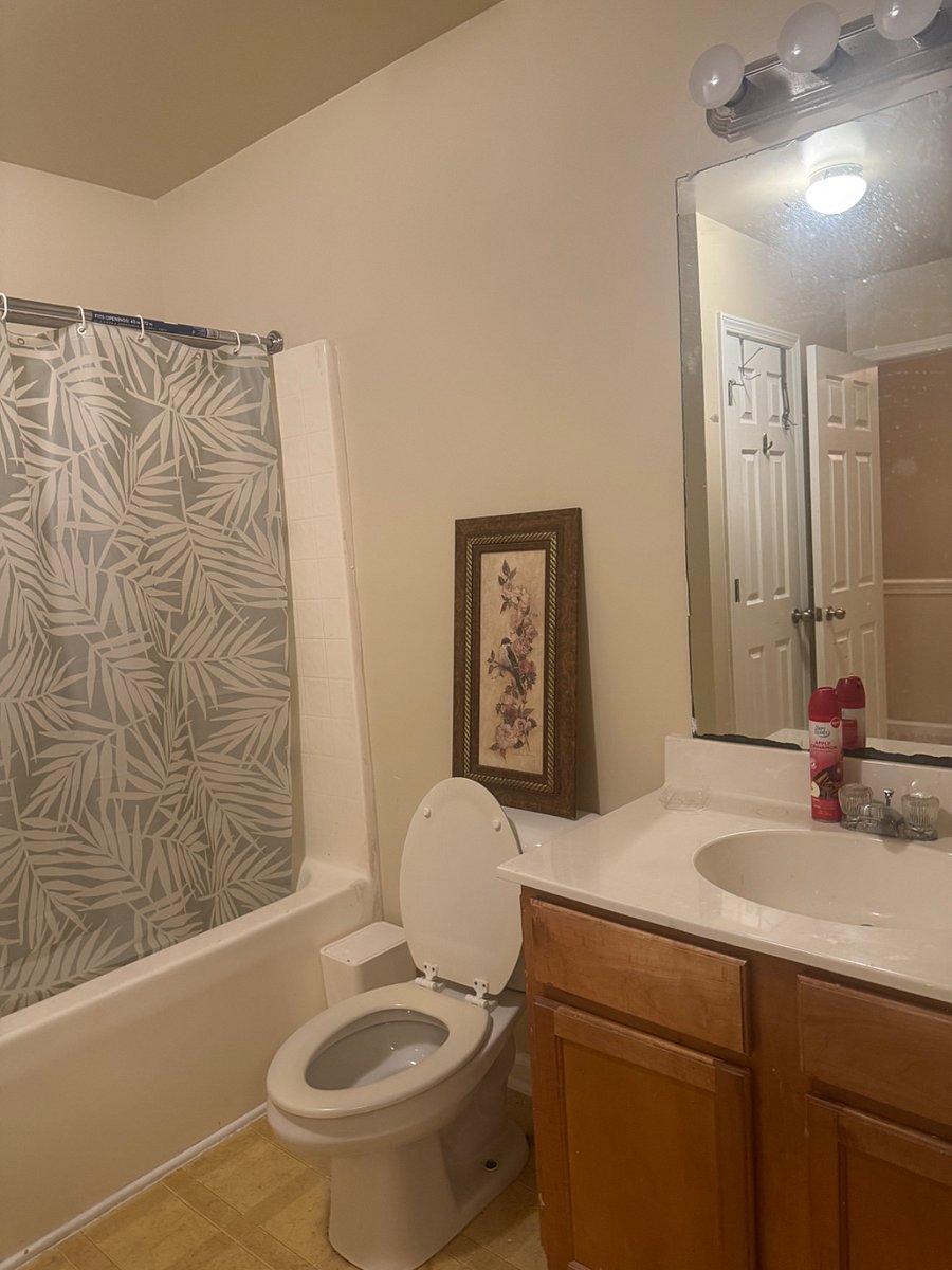 Furnished Finder property 902171_1 photo 12