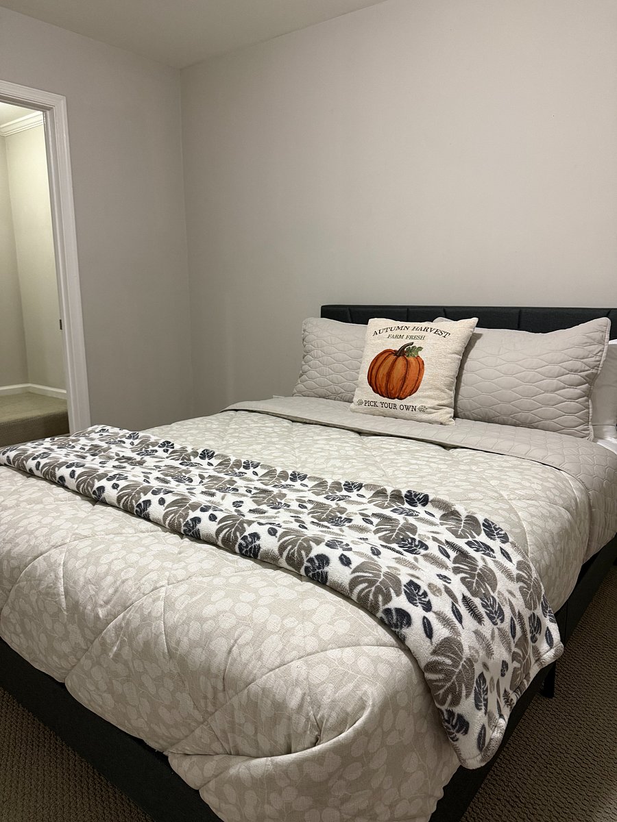 Furnished Finder property 902256_1 photo 16