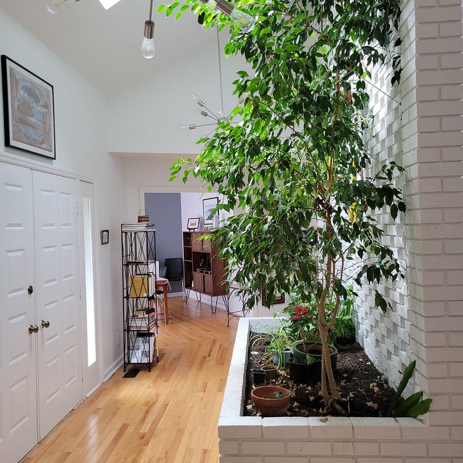 Large planter in entryway