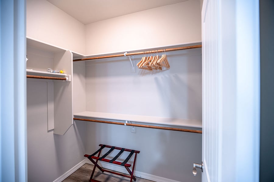 Primary suite walk-in closet has iron and luggage rack