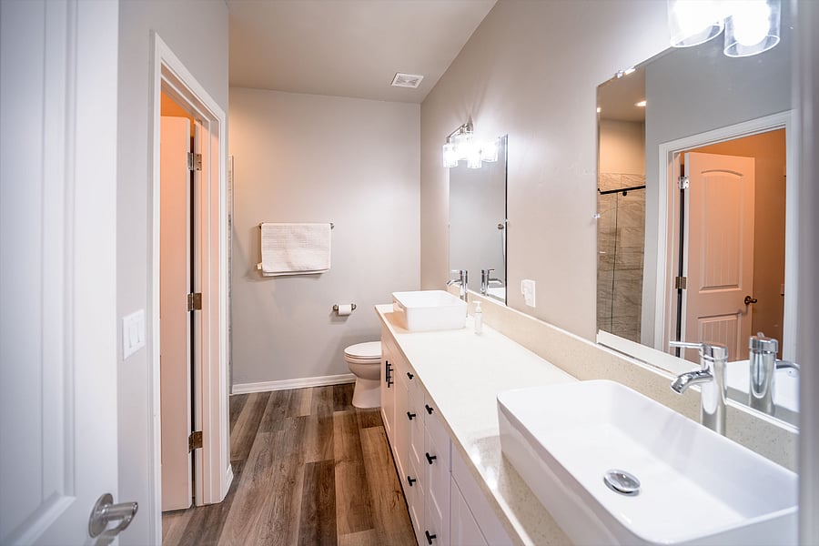 Primary suite bathroom with huge double vanity, shower and walk-in closet